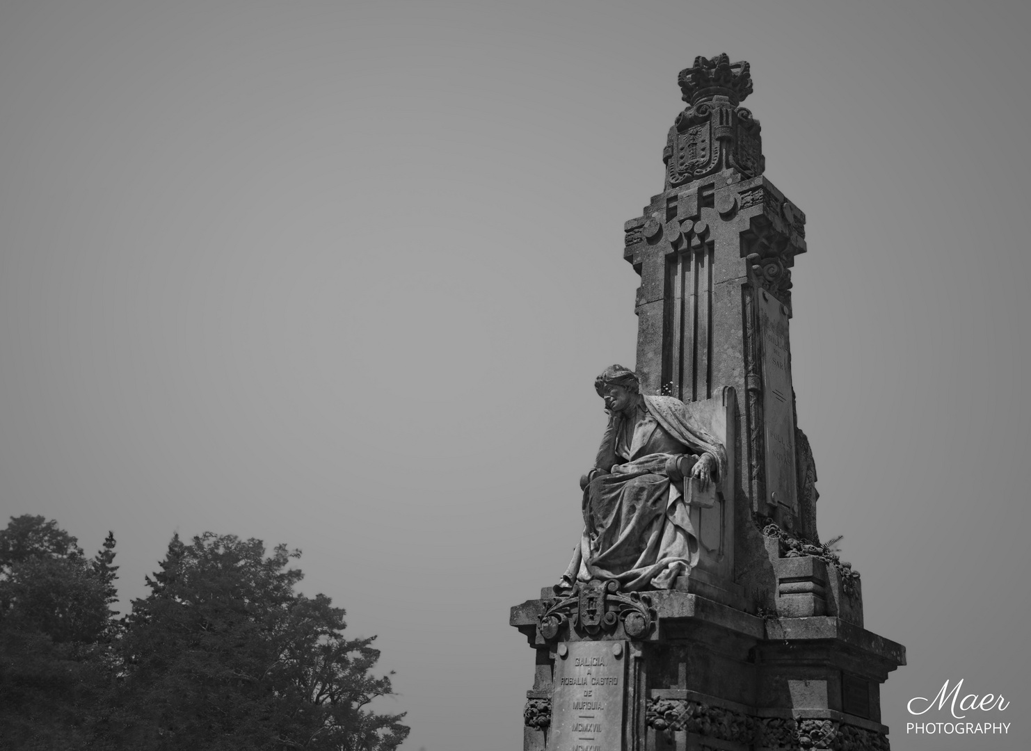 Rosalía  en un día con neblina y morriña.