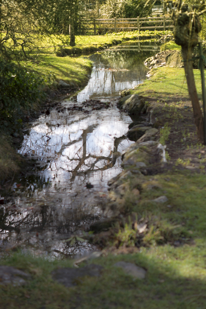 Rosarium Baden