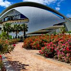 Rosarium im Turia Park, Valencia