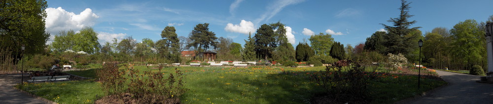 "Rosarium" in Sangerhausen