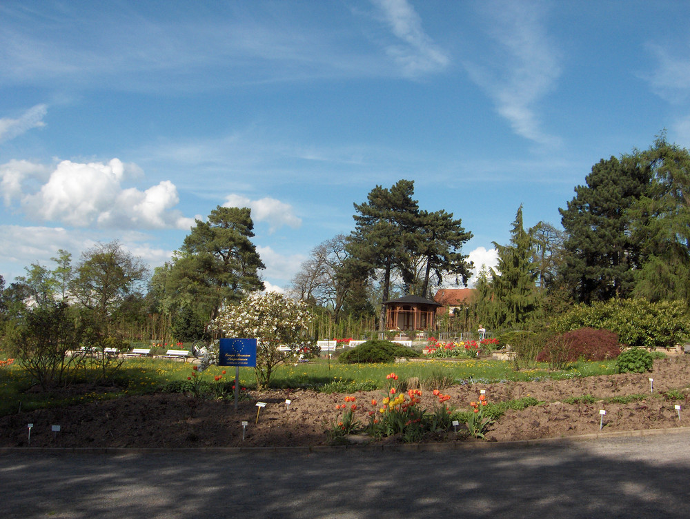 Rosarium Sangerhausen - 1. Mai 2008