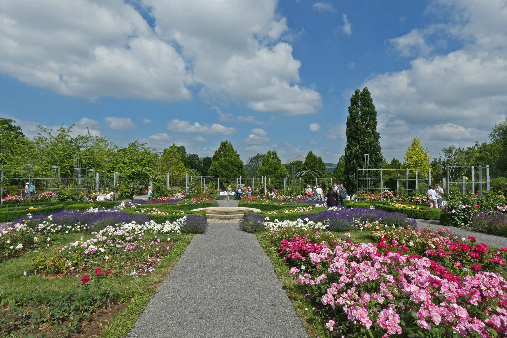 Rosarium Sangerhausen