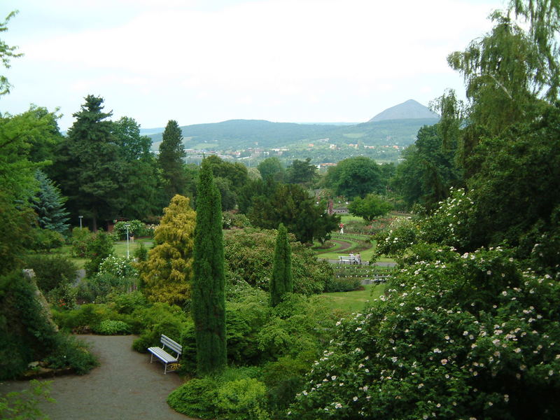 Rosarium Sangerhausen 2006