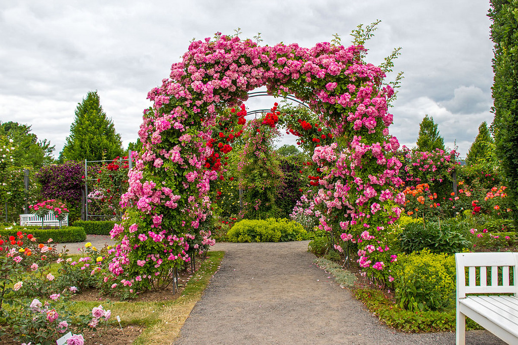 Rosarium Sangerhausen