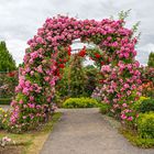 Rosarium Sangerhausen