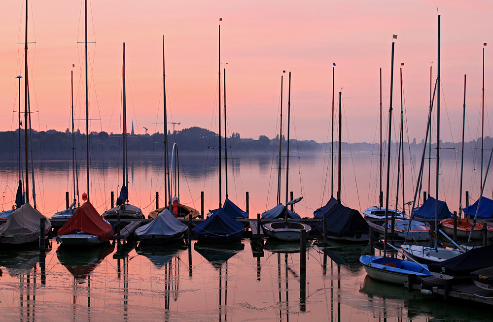 Rosarote Alster