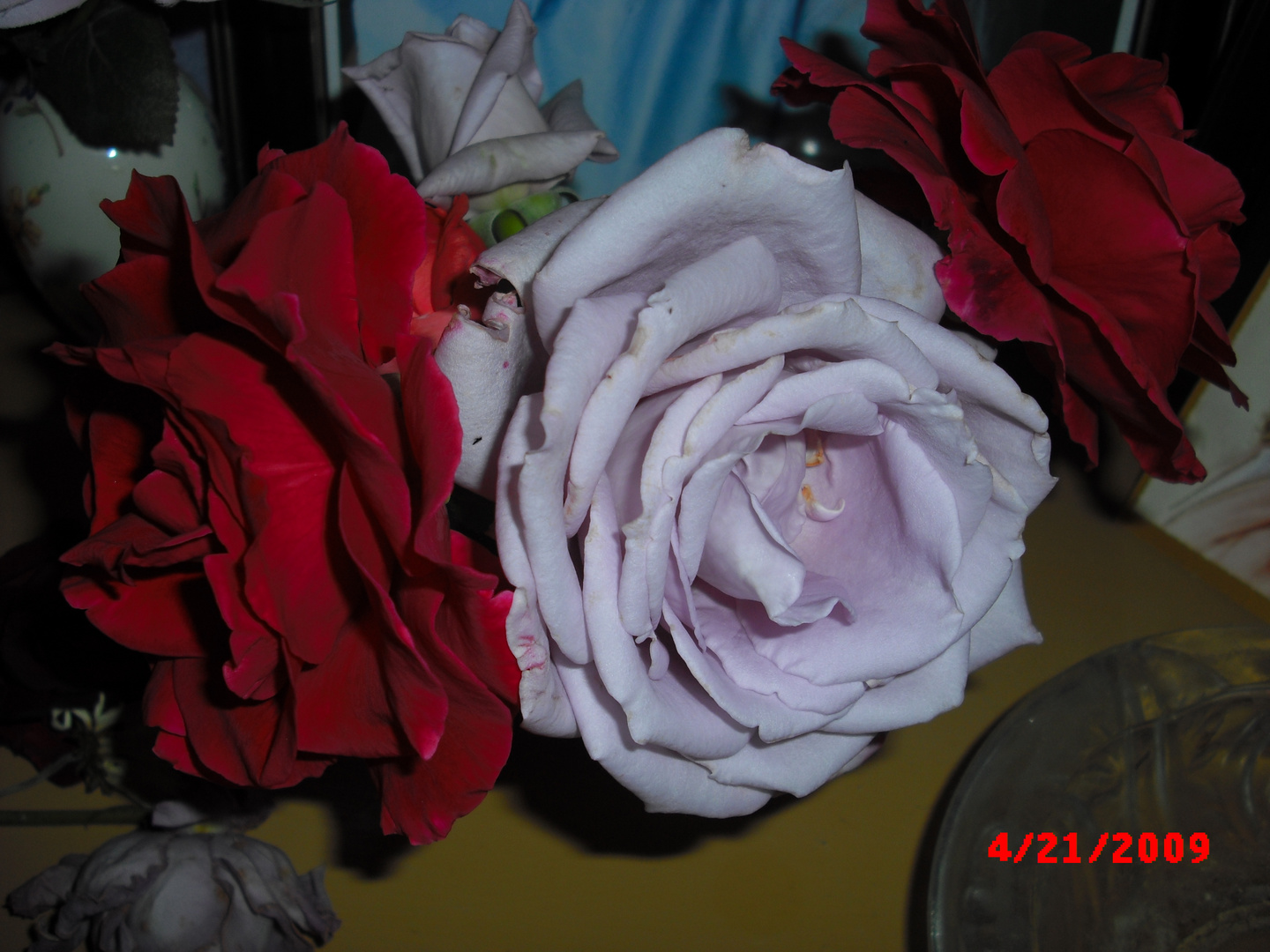 Rosas