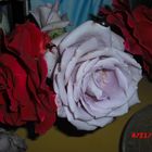 Rosas