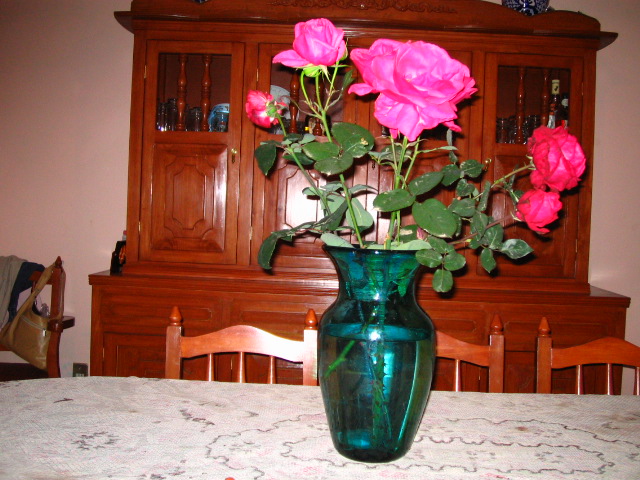 ROSAS DEL JARDIN DE LA CASA