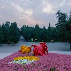 Rosas en el Templo del Cielo