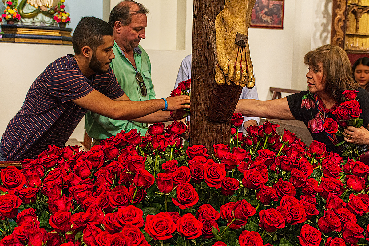 Rosas Rojas para la Proseción