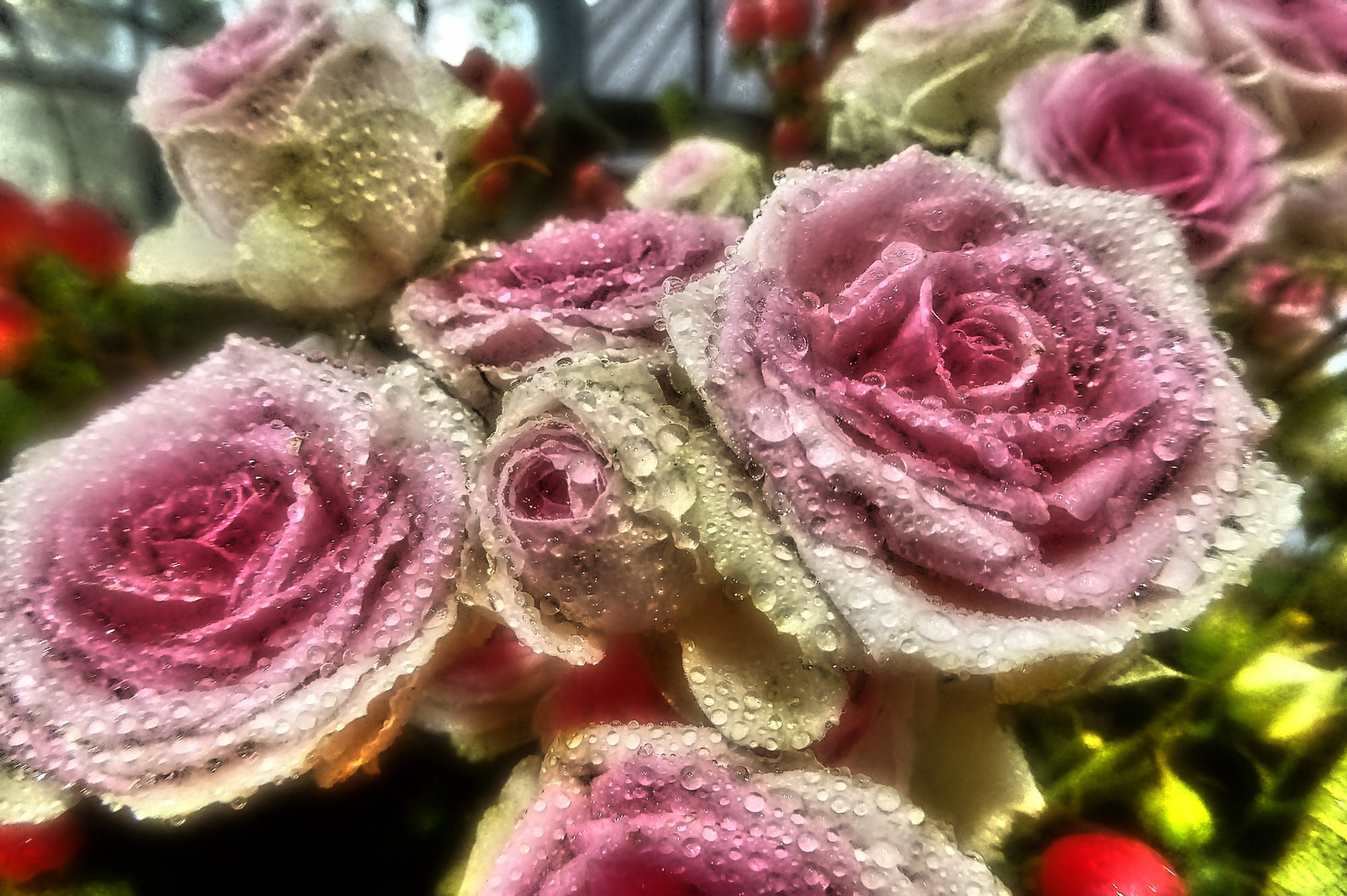 rosaweiße Rosenblüten mit Tropfen in Mikrodetails intensiv