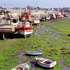 Roscoff