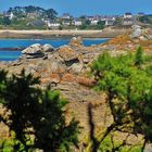 Roscoff