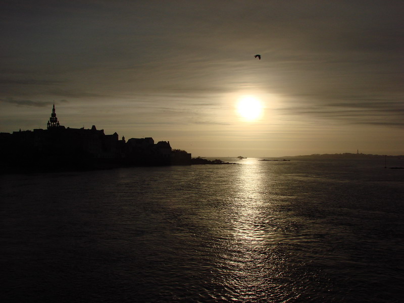 Roscoff Black and sun whith a bird