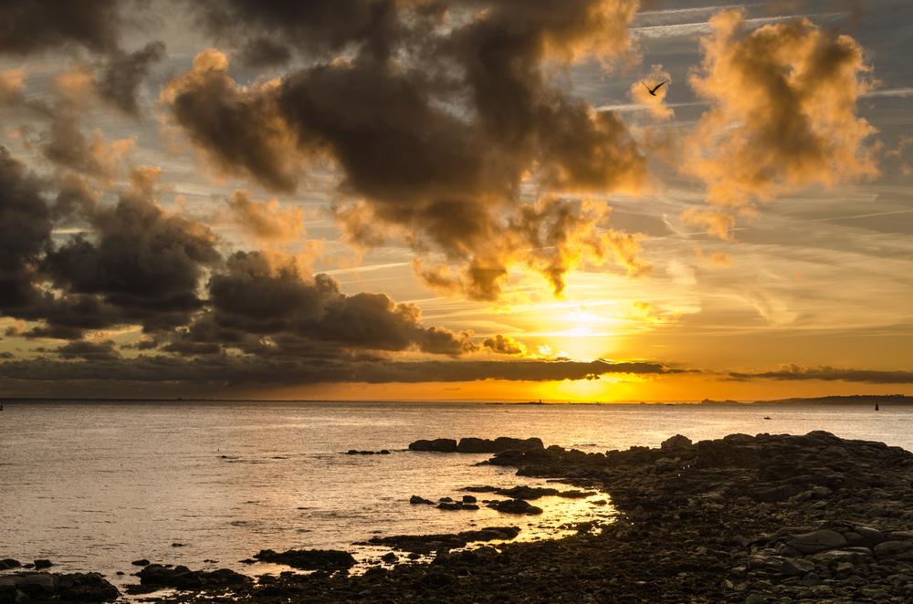 Roscoff_2