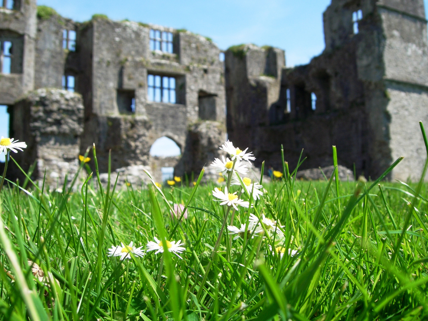 Roscommon Castle von innen