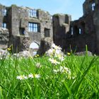 Roscommon Castle von innen