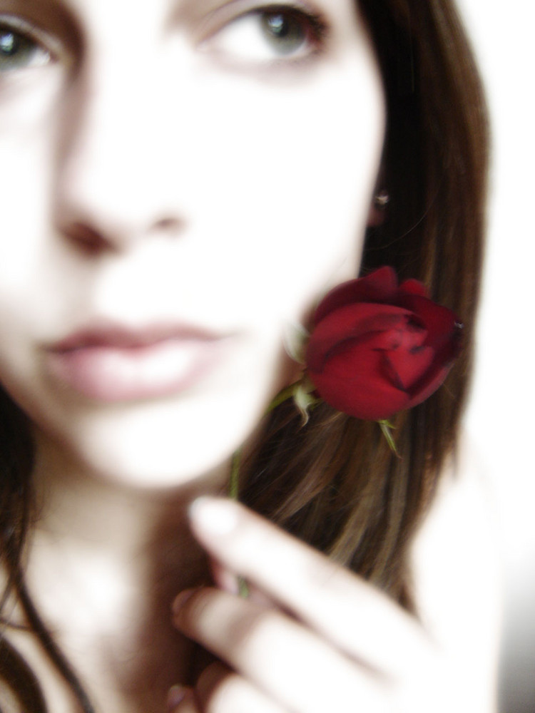 rose.