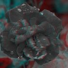  Rose - Anaglyphe