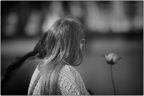 Rose And Hair