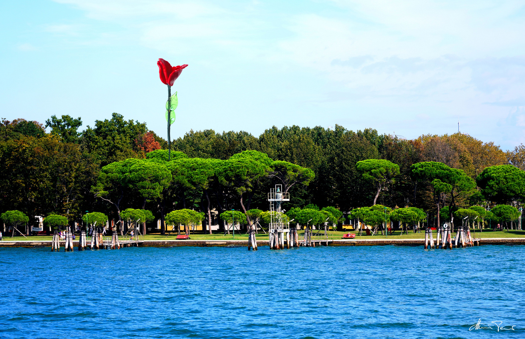 Rose at Parco delle Rimembranze