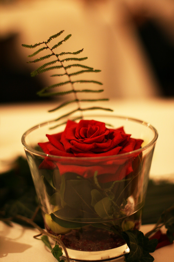 Rose bei Hochzeit