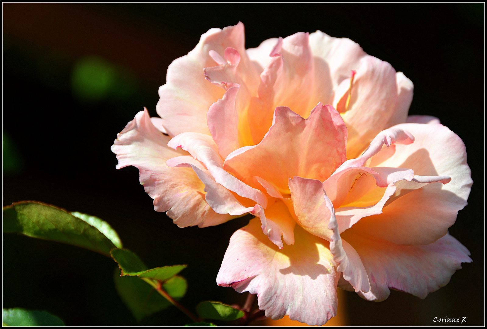 Les fleurs de septembre Beaux jardins et Potagers