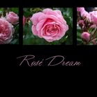 Rosé Dream