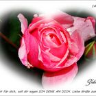 ****** Rose für dich ******