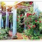 rose garden