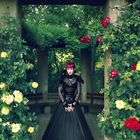 Rose Garden Queen 2