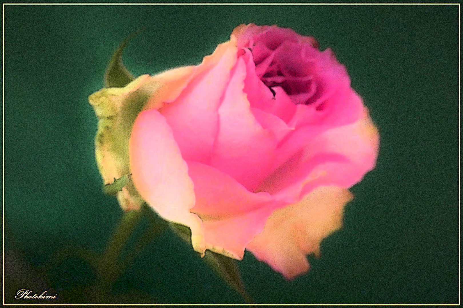 Rose (I)