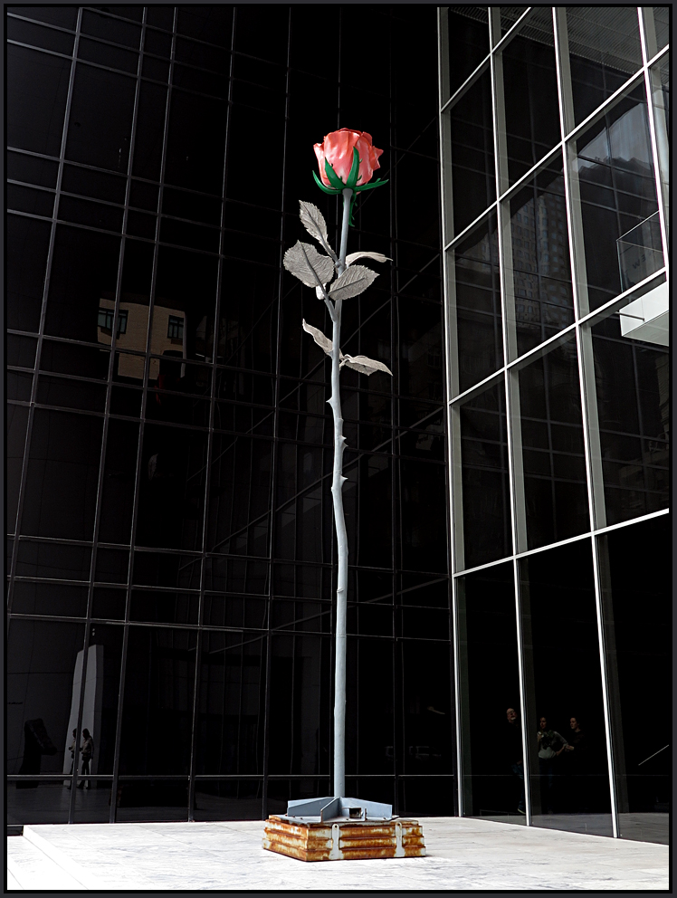 Rose II - MOMA - NYC