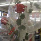 Rose im BaLLON