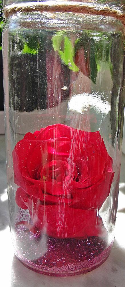 Rose im Glas