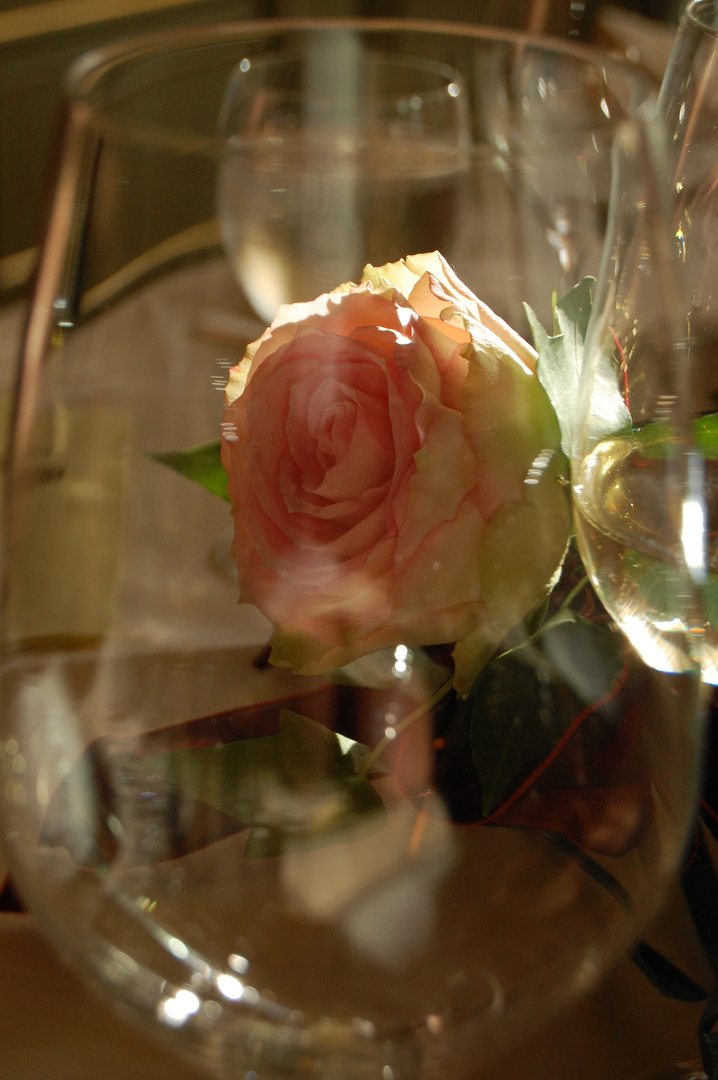 Rose im Glas