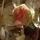 Rose im Glas