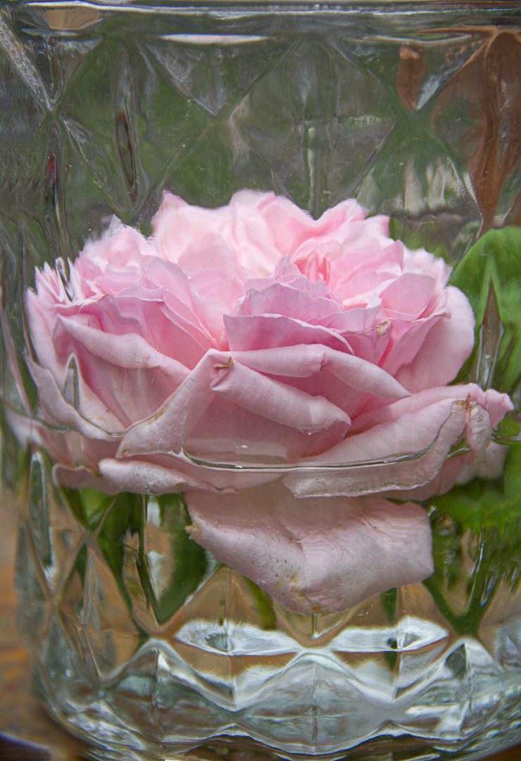 Rose im Glas in Farbe