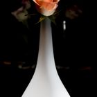 Rose in Blumenvase