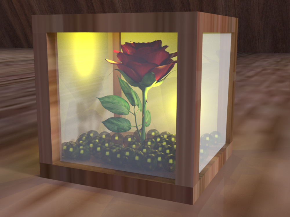 Rose in Box (Sonntag abstrakt)