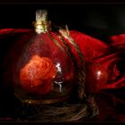 Rose in der Flasche