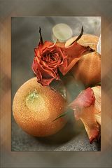 Rose in der Obstschale