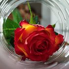 Rose in der Plastikflasche