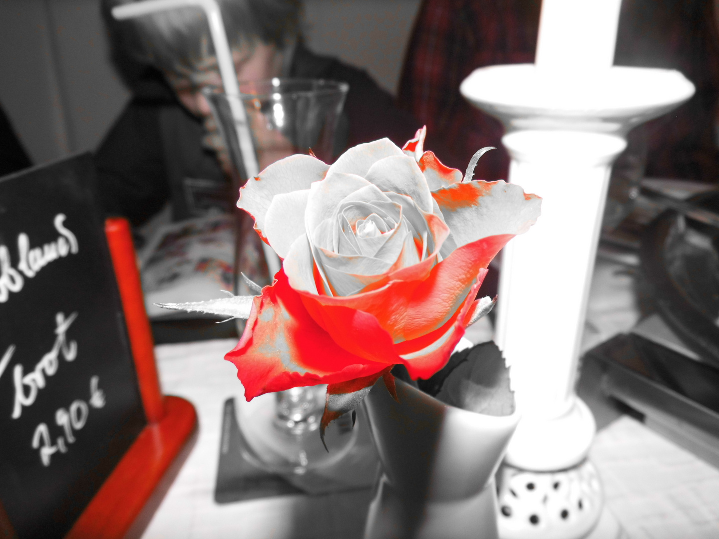 Rose in Farbfilterblitz