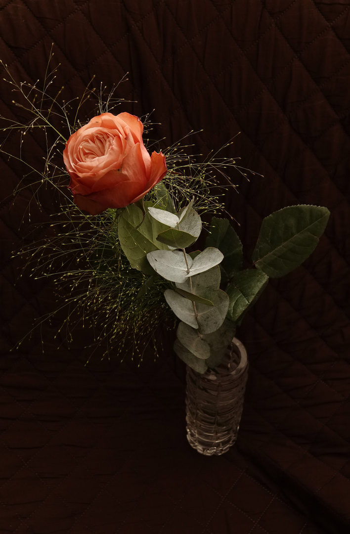 Rose in Vase