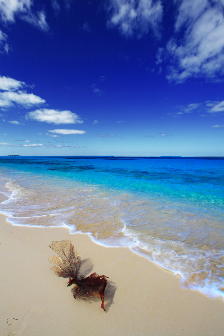 Rose Island Bahamas