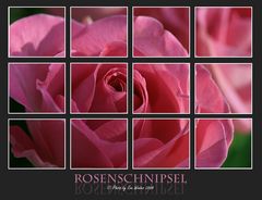 Rose mal anders