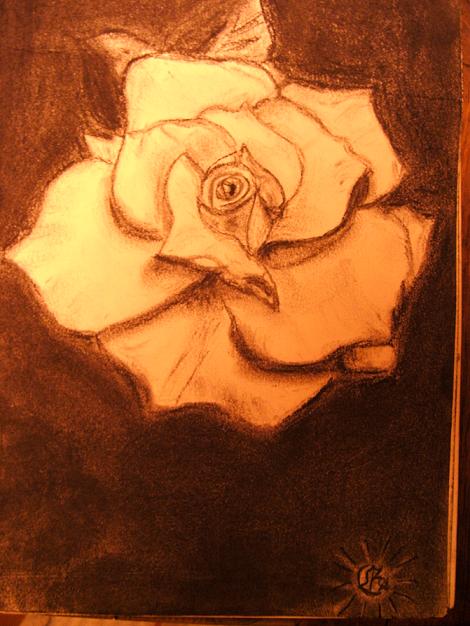 Rose (Meine! ;-))