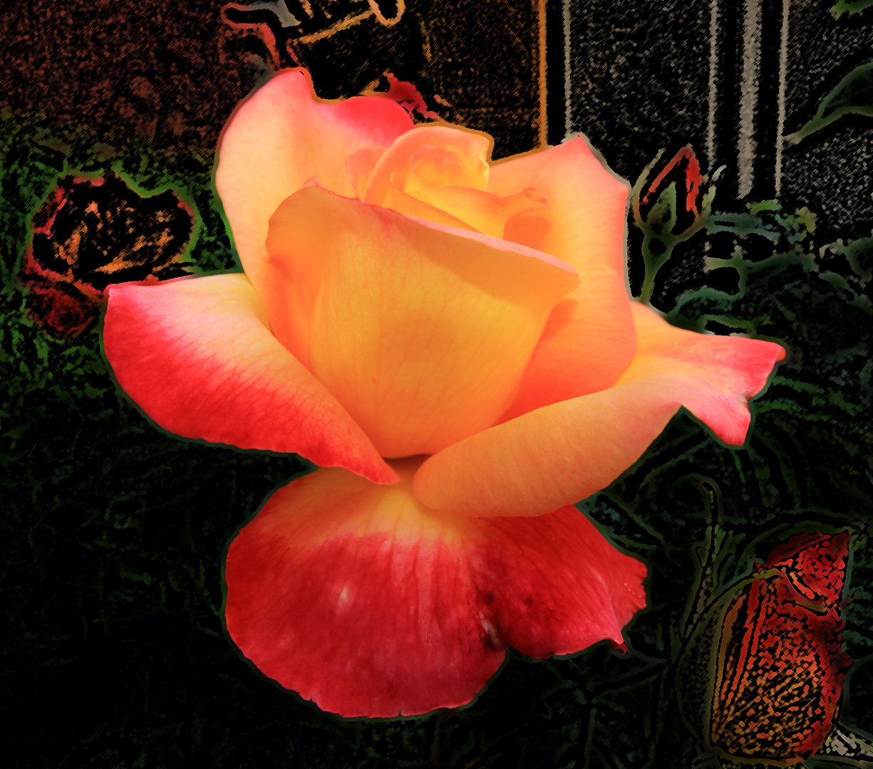 Rose mit abstraktem Hintergrund